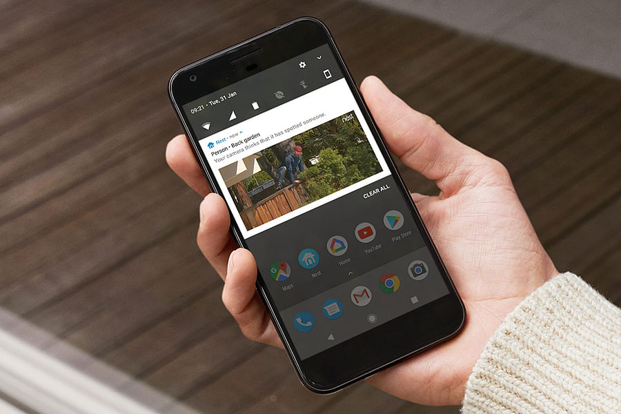 Nest Activity Zones setup