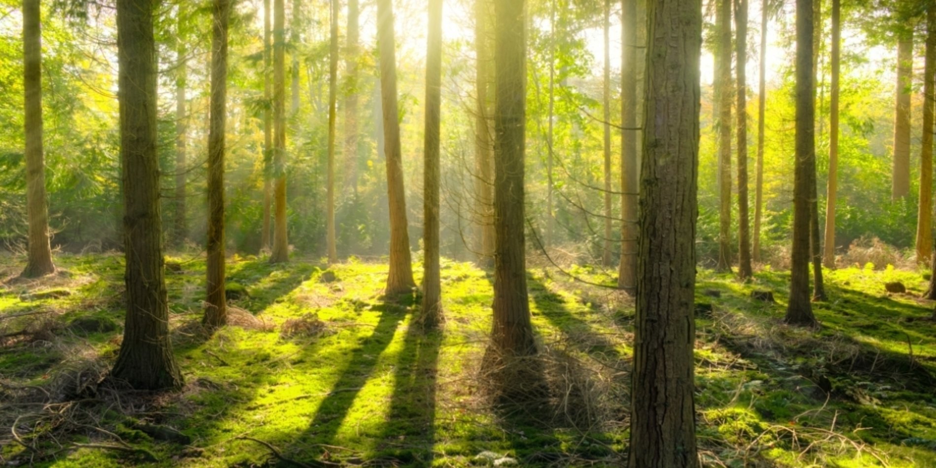 Cove Environmental Sensors