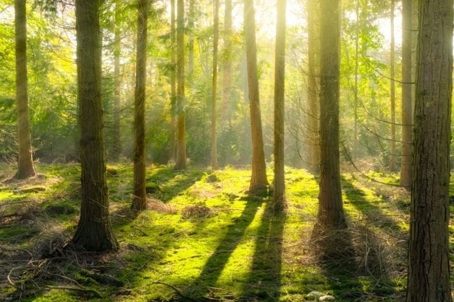 Cove Environmental Sensors