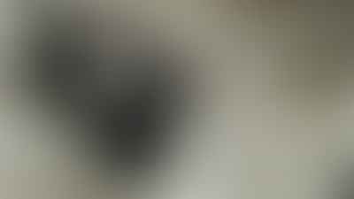 Do home security systems prevent crime or just deter it?