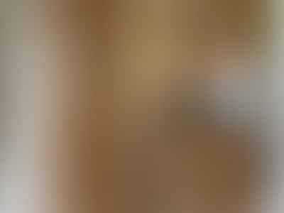 Why do people make security cameras in their bedroom visible?