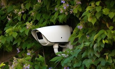 How can I hide my outdoor security cameras from view?